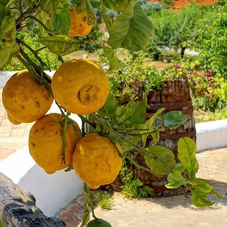Monte De Madrinha Albufeira